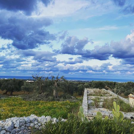 مبيت وإفطار مونوبولي La Guendalina Masseria E Casa Particular المظهر الخارجي الصورة