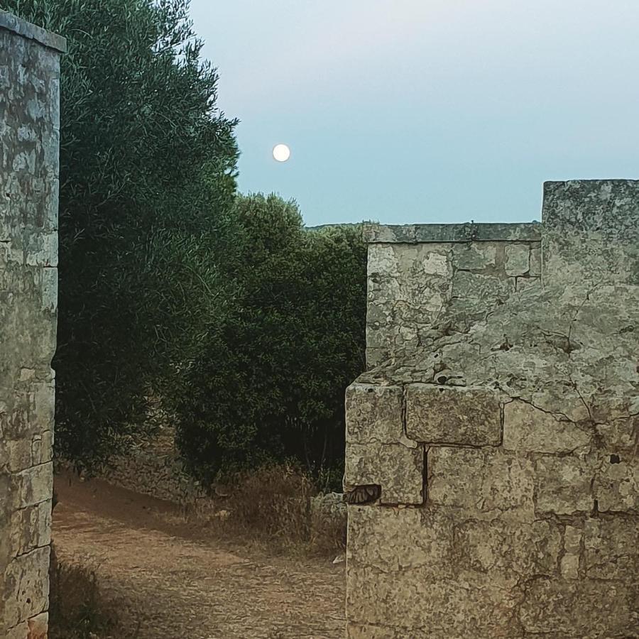 مبيت وإفطار مونوبولي La Guendalina Masseria E Casa Particular المظهر الخارجي الصورة