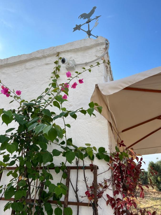 مبيت وإفطار مونوبولي La Guendalina Masseria E Casa Particular المظهر الخارجي الصورة